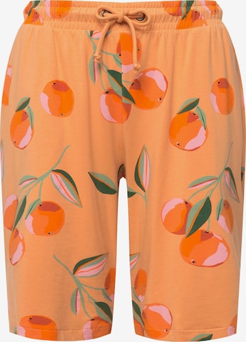 Ulla Popken Regular Pants in Orange: front