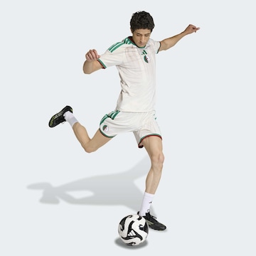 regular Pantaloni sportivi 'Algeria 26 Home' di ADIDAS PERFORMANCE in bianco