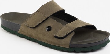 Mule 'Atrium' Bayton en vert