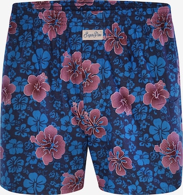 Sugar Pine Boxer shorts ' Aloha Vera ' in Blue: front