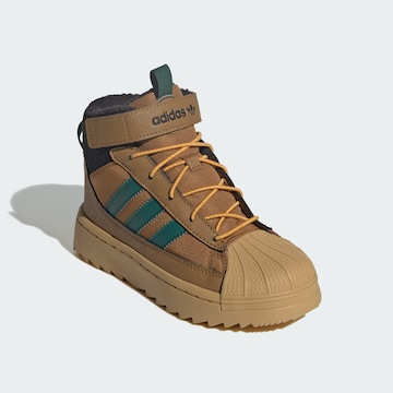 Bottes de neige 'Superstar' ADIDAS ORIGINALS en marron
