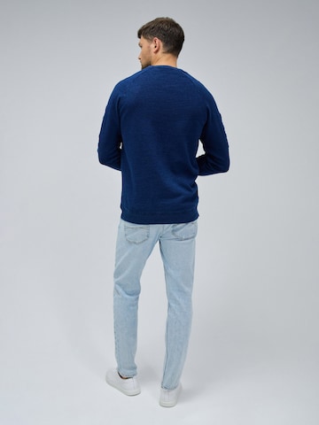 Salsa Jeans Pullover in Blau