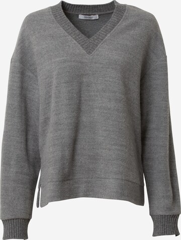 Max Mara Leisure - Pullover 'MOLA' em cinzento: frente