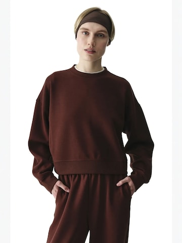 Penti Sweatshirt 'Sweatshirts' in Brown
