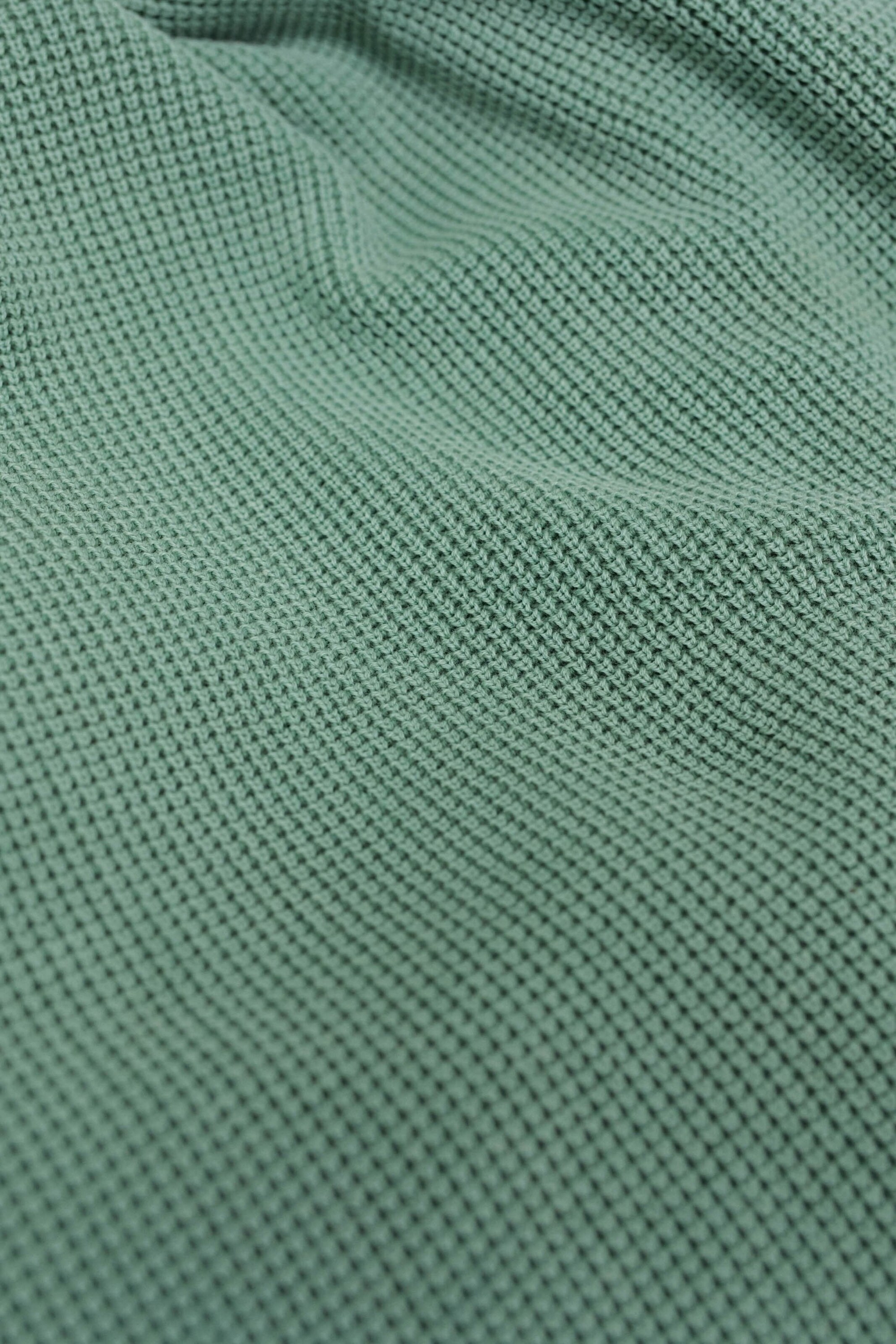 Salsa Jeans Trui in Groen