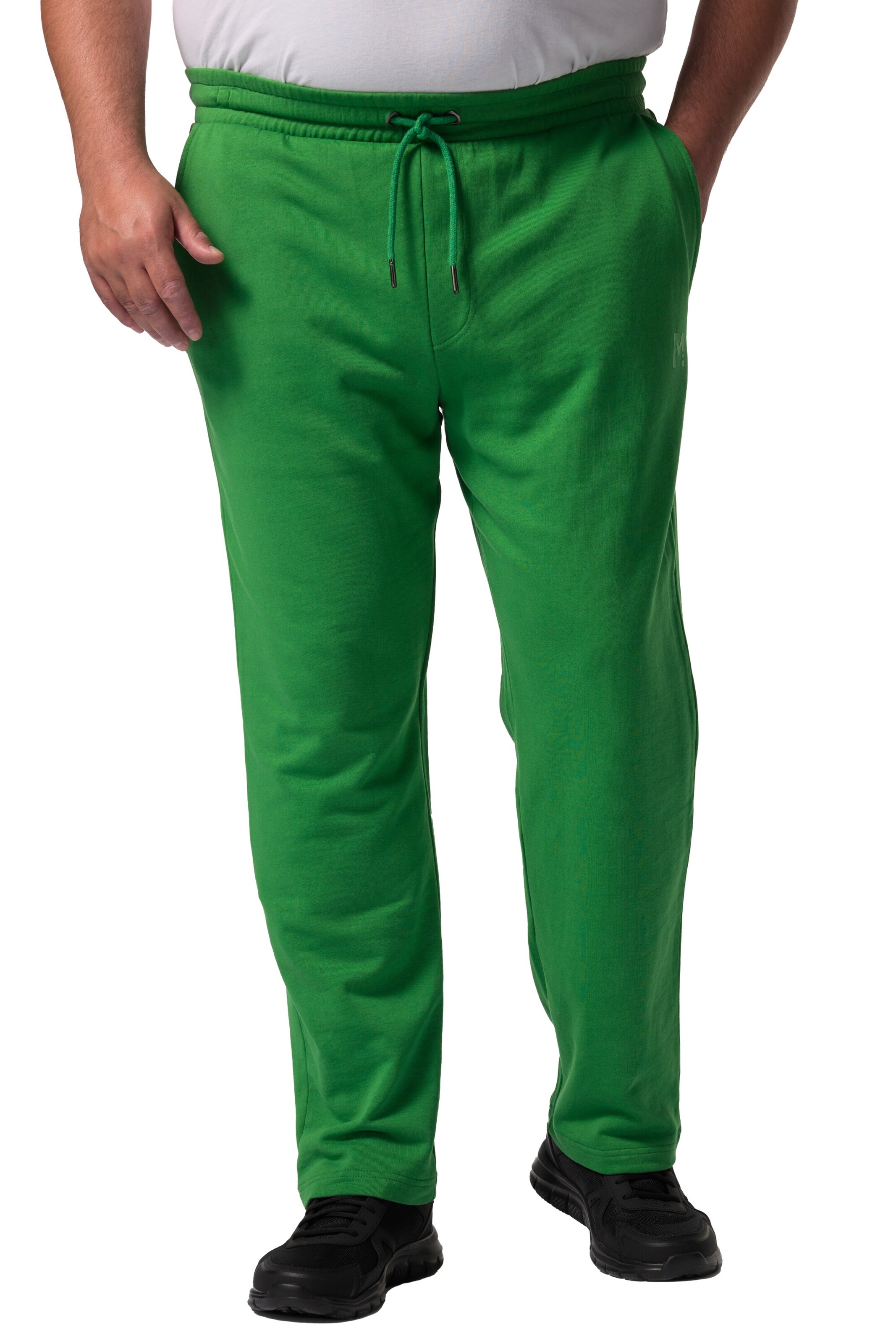 Men Plus Tapered Pants in Green: front