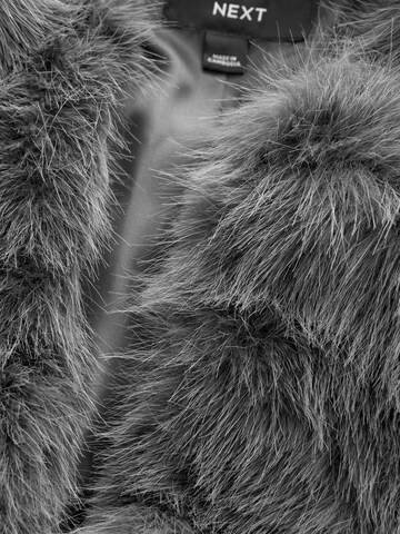 Next - Chaqueta de entretiempo en gris