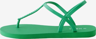 Next Varvastossut värissä vihreä, Tuotenäkymä