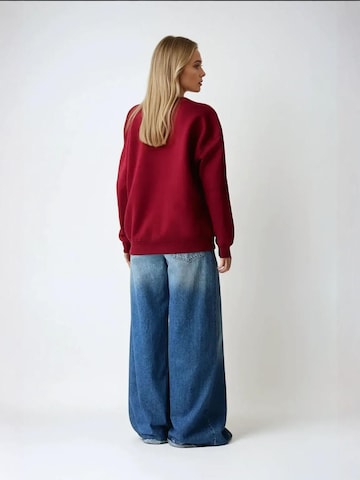 Sweat-shirt Hiccup en rouge