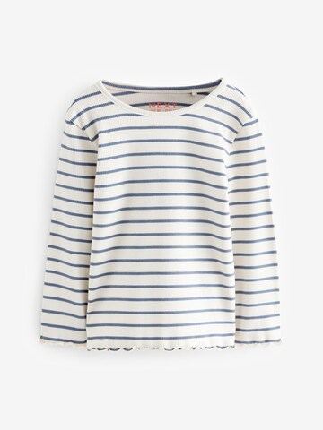Next Shirt in Mischfarben