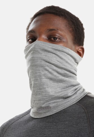 ICEBREAKER Sportsjaal 'Flexi' in Grijs