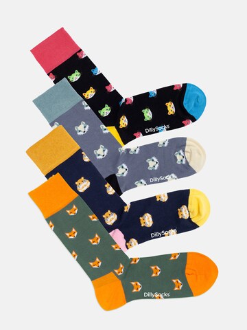 DillySocks Socken in Mischfarben