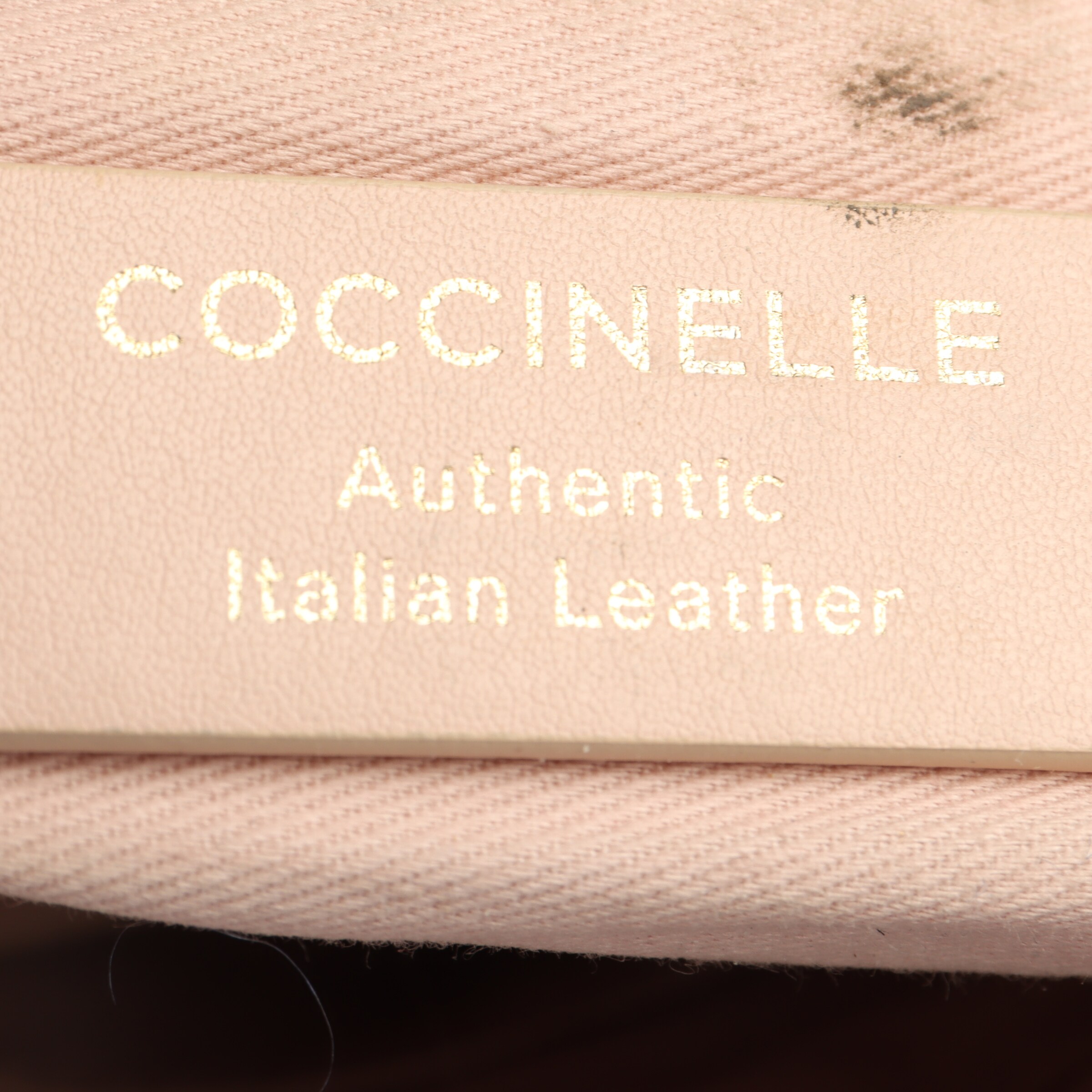 Coccinelle Bag in One size in Brown