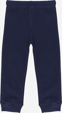 Carter's Tapered Trousers in Blue