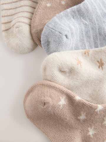 Next Socks in Mixed colours