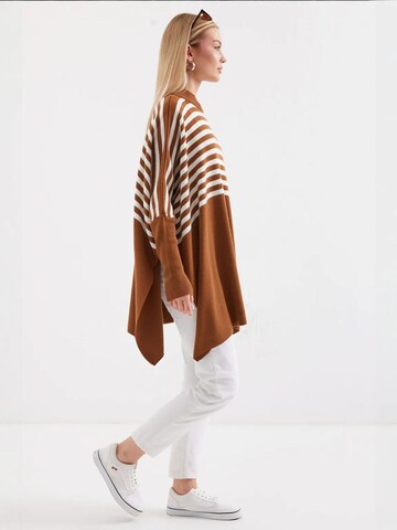 Bigdart Trui in Bruin