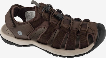 Sandales de randonnée JOMA en marron : devant