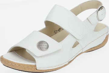 WALDLÄUFER Strap Sandals in White: front