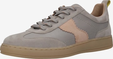 SALAMANDER Matalavartiset tennarit värissä harmaa: etupuoli