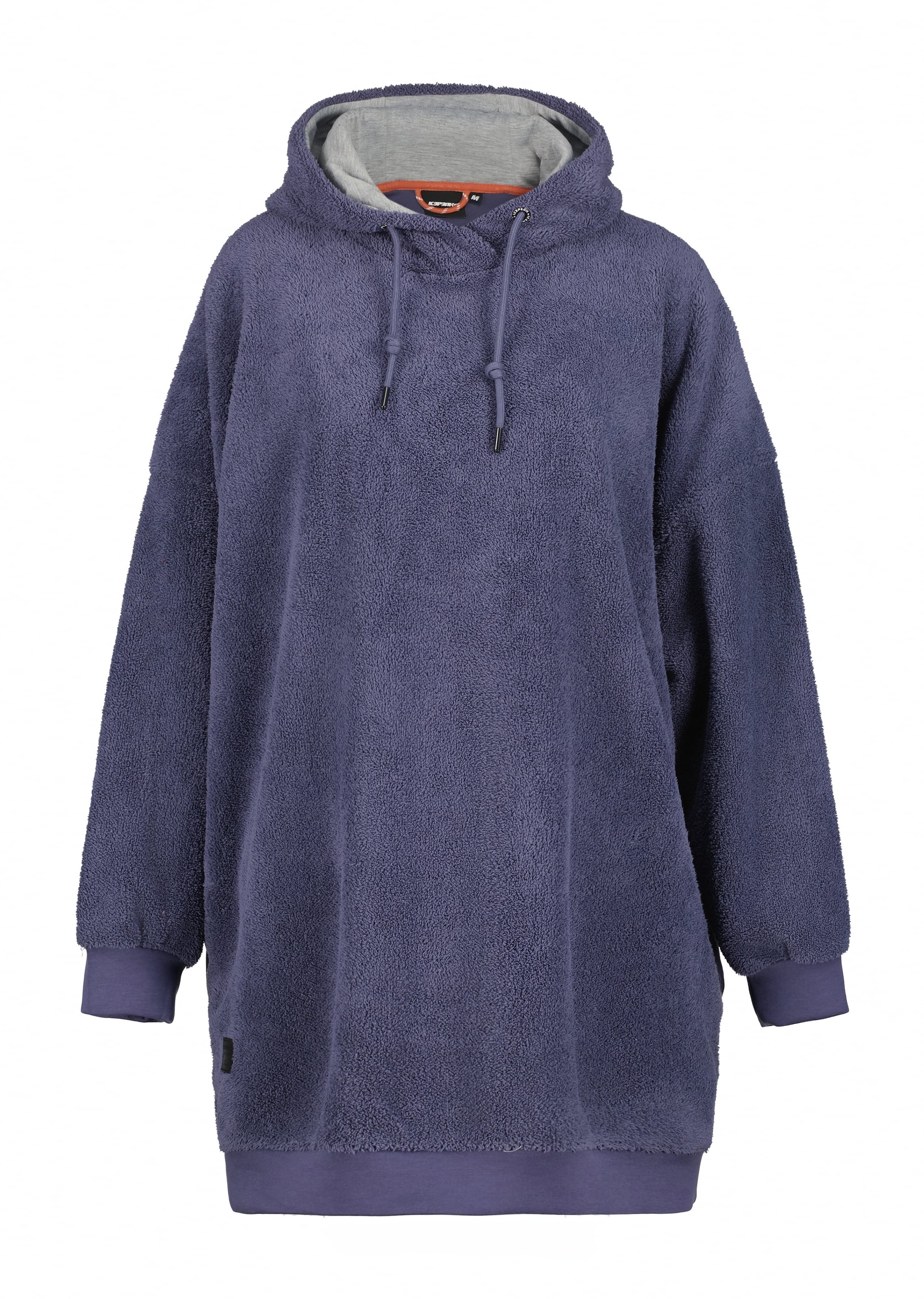 ICEPEAK Sweatshirt in Blau: Vorderseite