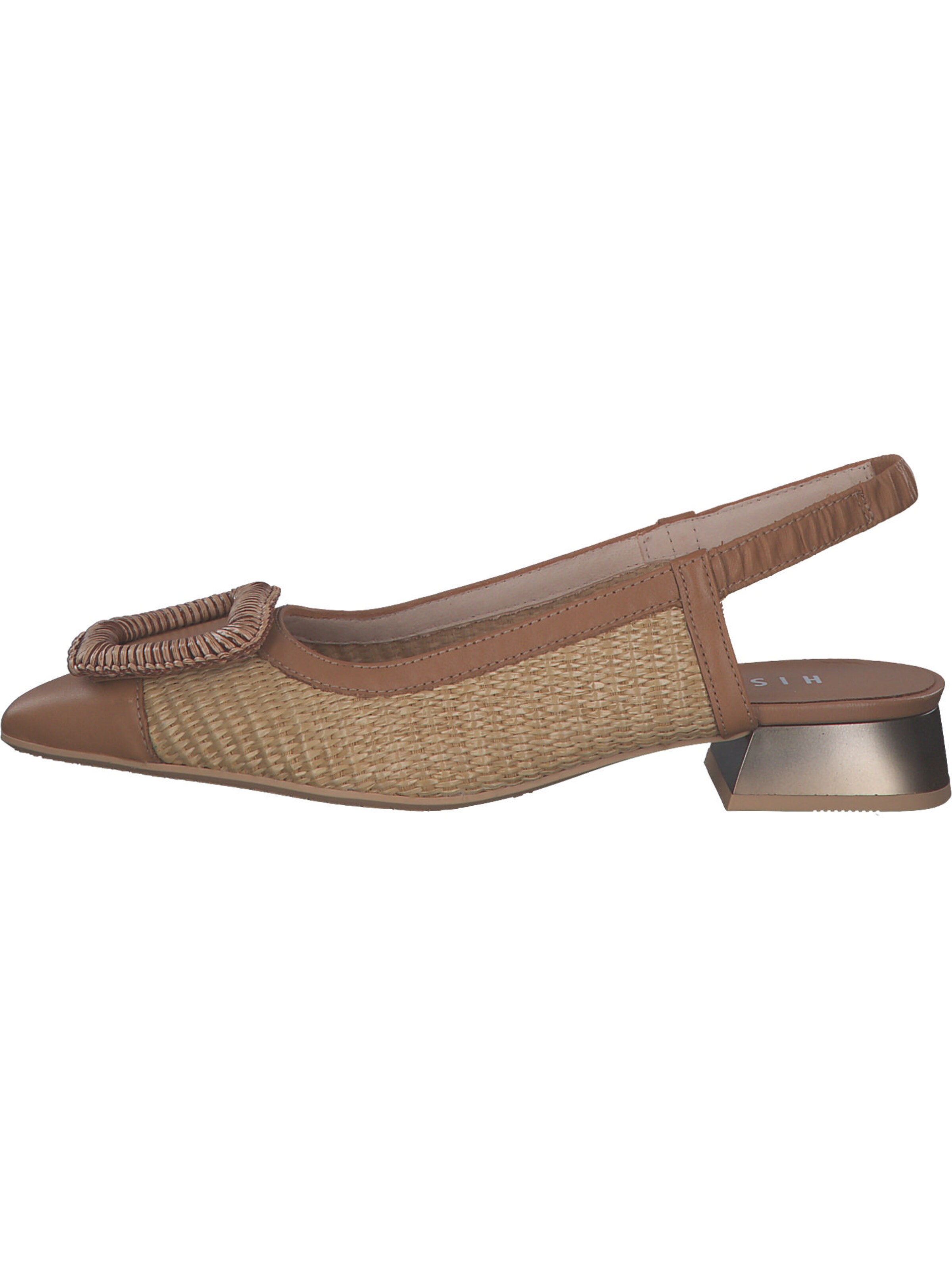 Hispanitas Ballerina 'Dali' in Bruin