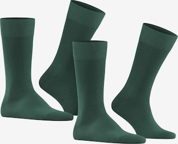 FALKE Socken in Grün