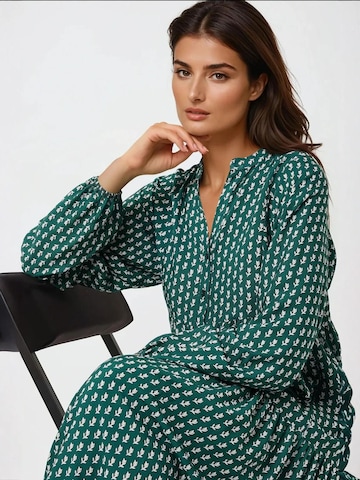 Hiccup Kleid in Grün