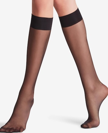 FALKE Knee High Socks 'Seidenglatt' in Black: front