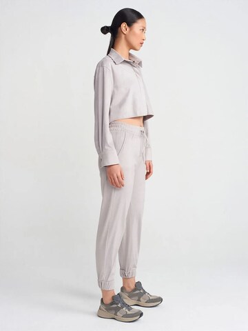 Dilvin Shirt in Grey