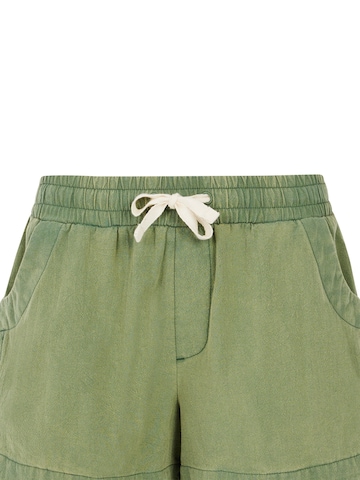 PROTEST Regular Trousers 'PRTPien' in Green