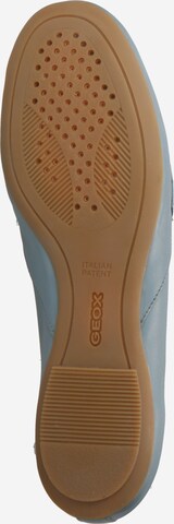 GEOX Slipper 'Palmaria' in Blau