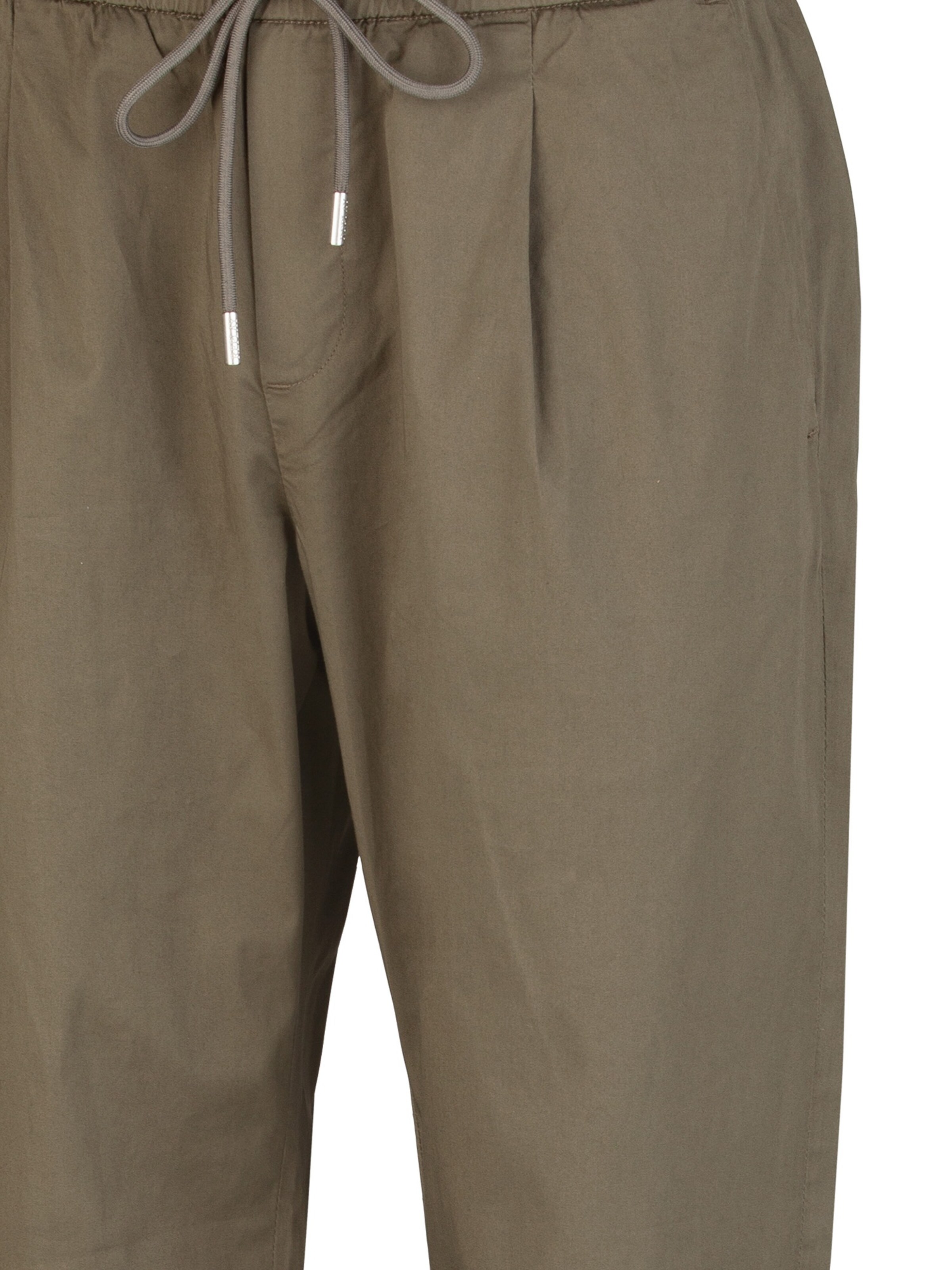 REPLAY Loose fit Pleat-Front Pants in Green