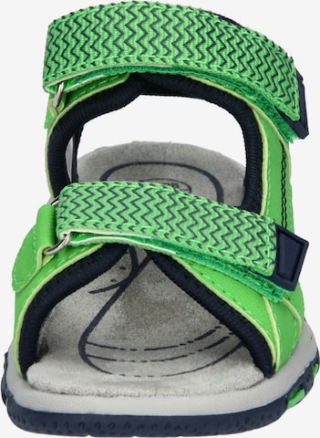 LICO Sandals & Slippers in Green