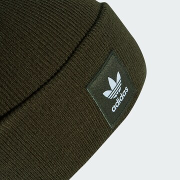 Berretto 'Adicolor Cuff' di ADIDAS ORIGINALS in verde
