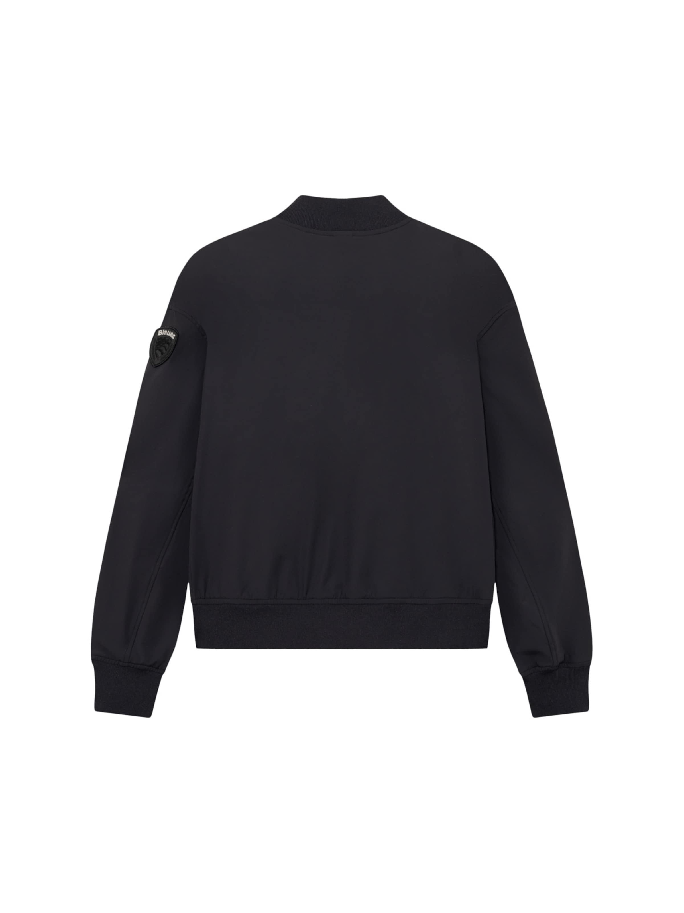 Blauer Between-season jacket 'Devine' in Black