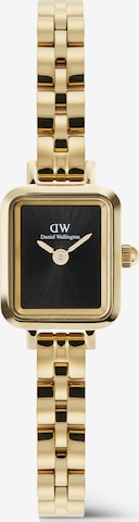 Daniel Wellington Analoguhr in Gold: Vorderseite