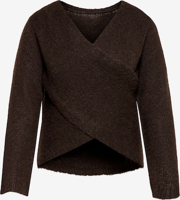ONLY Carmakoma Pullover 'MAGGIE' in Braun: Vorderseite
