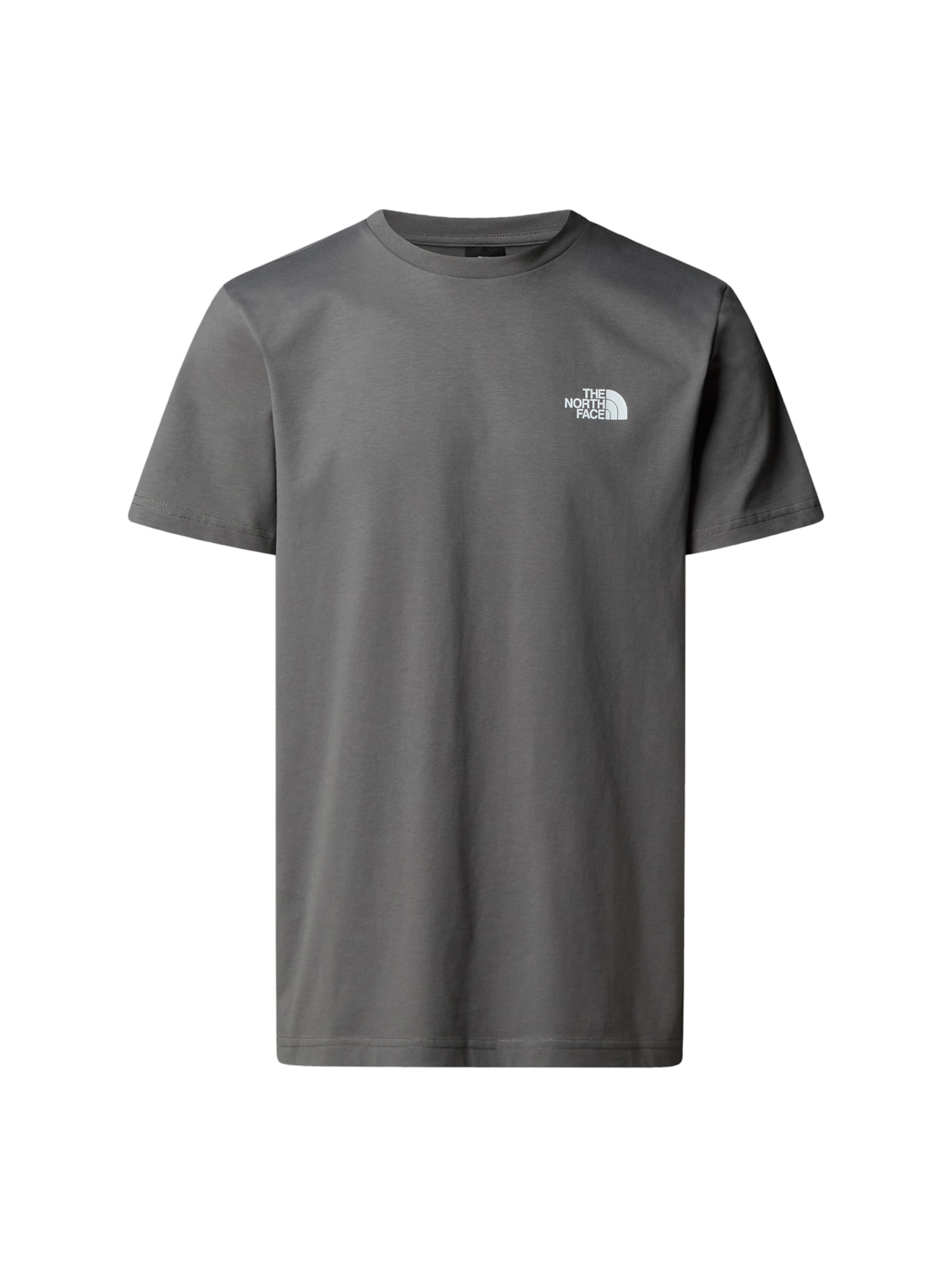 T-Shirt 'Summerdale' THE NORTH FACE en beige : devant