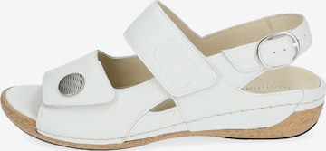 WALDLÄUFER Sandalen met riem in Wit