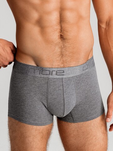 Ombre Boxershorts in Gemengde kleuren