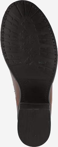 Dorothy Perkins Stiefelette 'Orla' in Braun