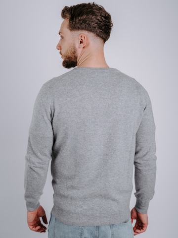DELGER Pullover‌‌‌‌‌‌‌‌‌ in Grau