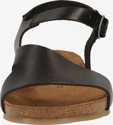 Sandalo di COSMOS COMFORT in nero
