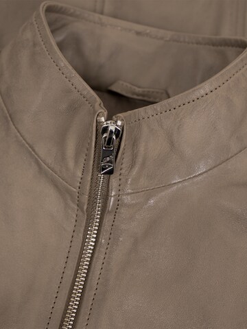 Jilani Tussenjas 'Zinnia' in Beige