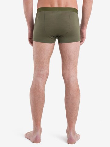 ICEBREAKER Sports underpants 'Anatomica' in Green