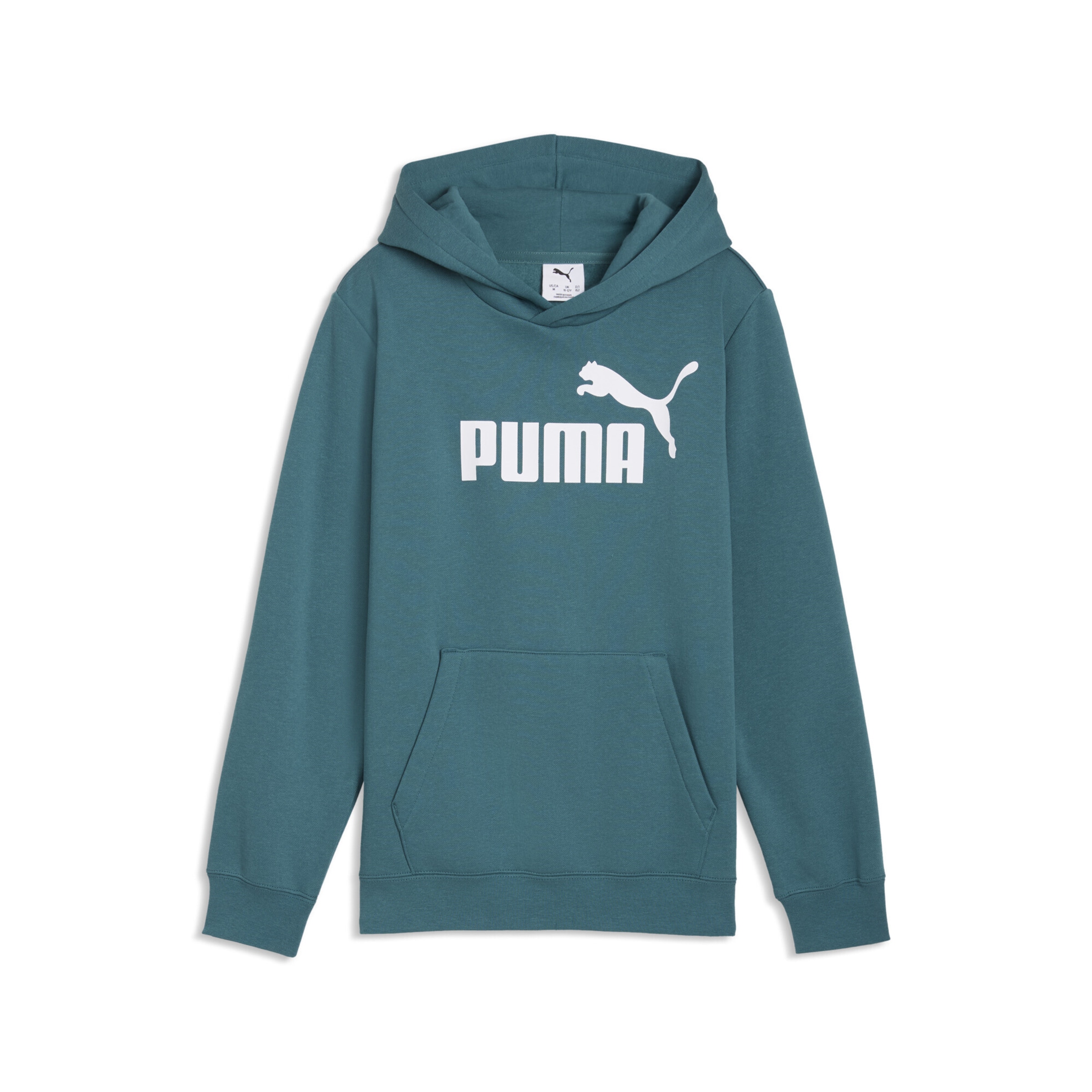 PUMA Sweatshirt 'ESS No. 1' in Green: front