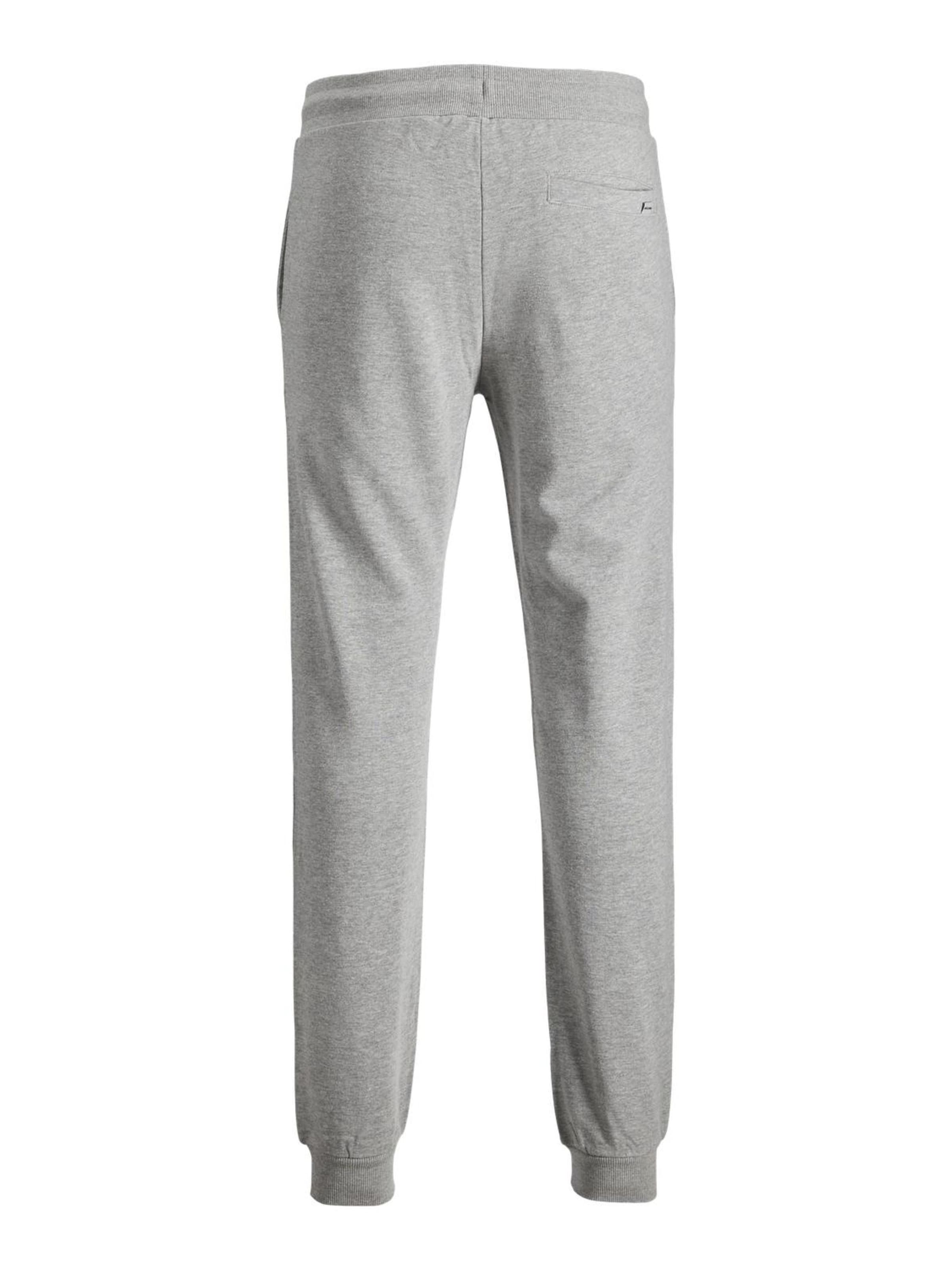JACK & JONES Tapered Hose 'JPSTGordon JJShark' in Grau