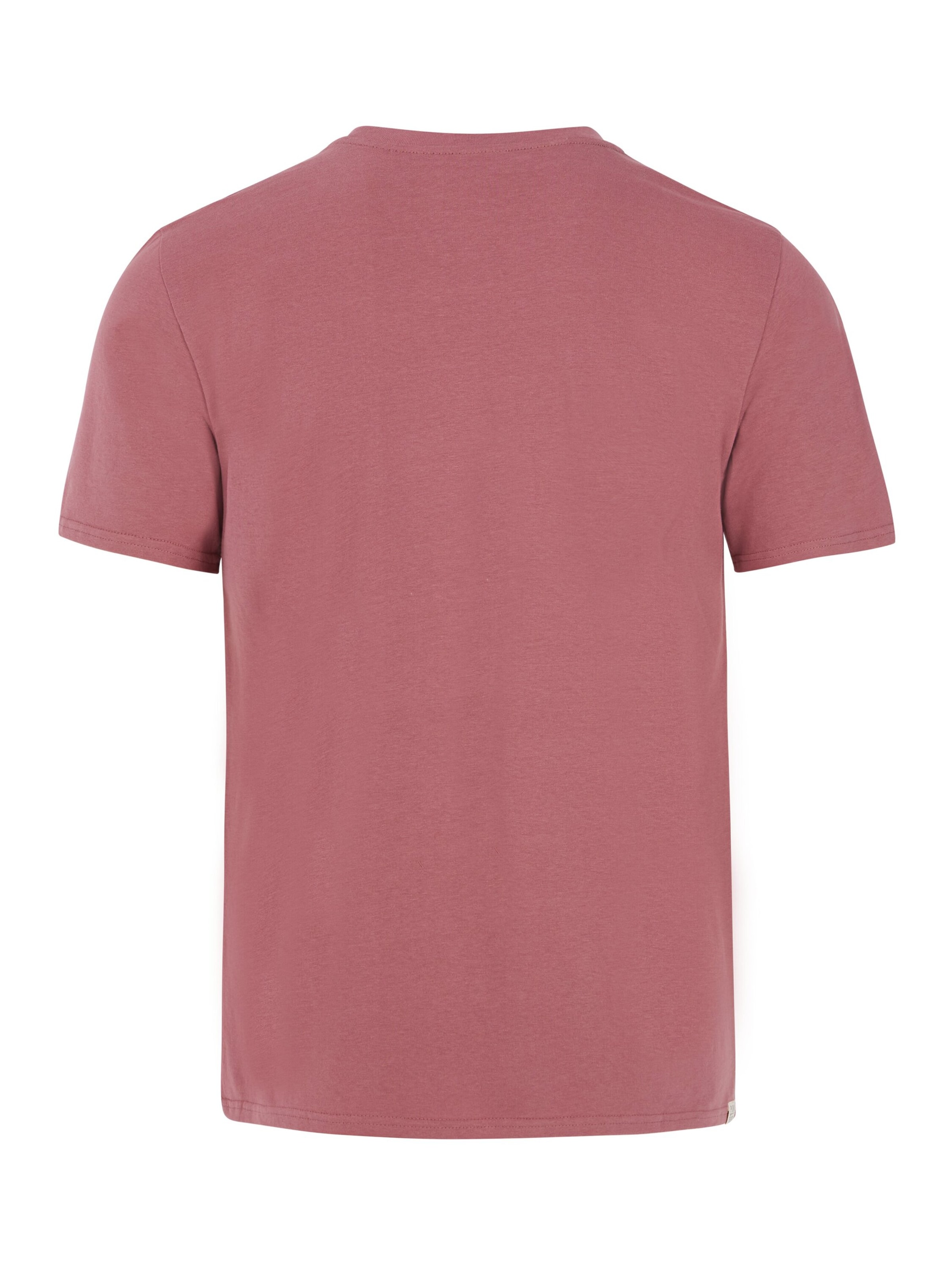 PROTEST Shirt 'PRTSTAN' in Roze