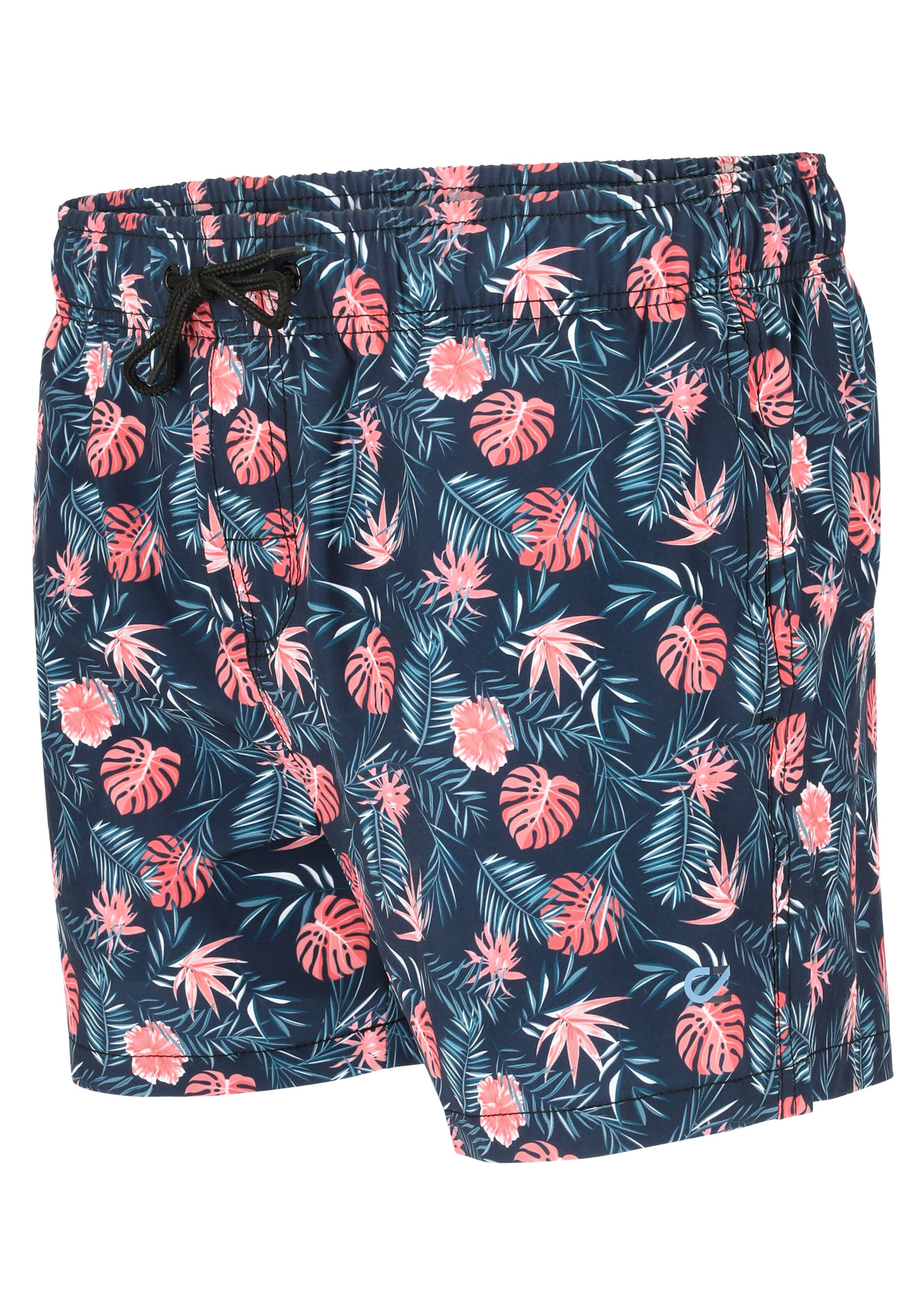 Cruz Board Shorts 'Obi Van' in Blue