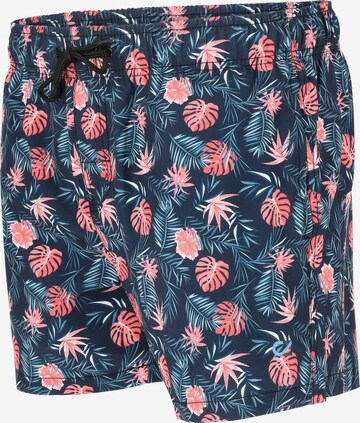 Cruz Badeshorts 'Obi Van' in Blau